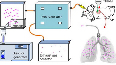 細胞影像平臺雙光子顯微鏡線下培訓通知