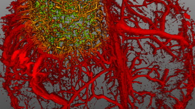尼康生物影像中心超分辨激光掃描共聚焦顯微鏡上機培訓通知