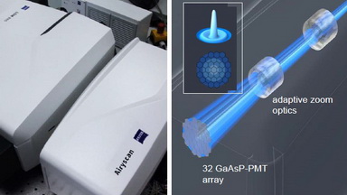 超高分辨激光共聚焦顯微鏡Zeiss LSM880上機培訓通知