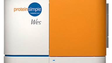 蛋白質制備與鑒定平臺全自動定量Western Blot線上培訓通知