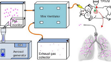 細胞影像平臺雙光子顯微鏡培訓通知