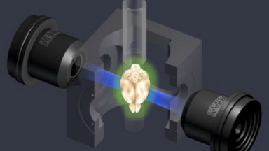 共享儀器平臺Zeiss Lightsheet Z.1激光片層掃描顯微鏡線上培訓通知