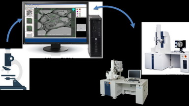 細胞生物學平臺電鏡機組生物樣品光電聯用技術講座通知