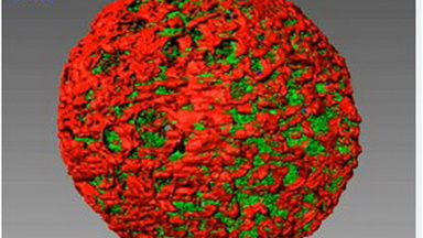 細胞影像平臺轉盤共聚焦顯微鏡上機培訓通知