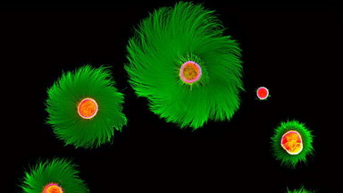 尼康生物影像中心NIS-Element圖像處理培訓通知