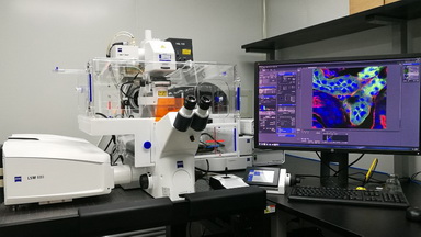 共享儀器平臺超高分辨激光共聚焦顯微鏡Zeiss LSM880上機培訓通知