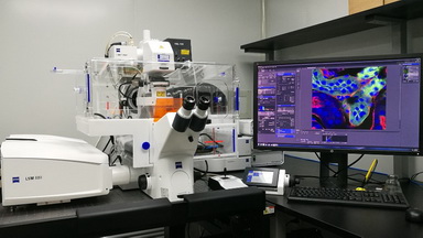 共享儀器平臺超高分辨激光共聚焦顯微鏡Zeiss LSM880上機培訓通知