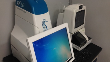 共享儀器平臺Seahorse細胞能量代謝分析儀培訓通知