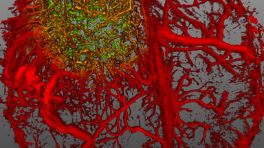 尼康生物影像中心超分辨激光掃描共聚焦顯微鏡上機培訓通知