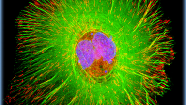 細胞影像中心第五屆高端顯微成像Workshop培訓通知