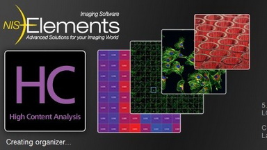 尼康生物影像中心圖像處理系列專題--時間序列分析培訓通知