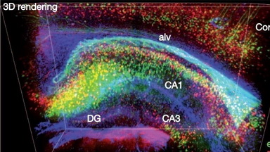 共享儀器平臺組織透明化技術線上培訓通知