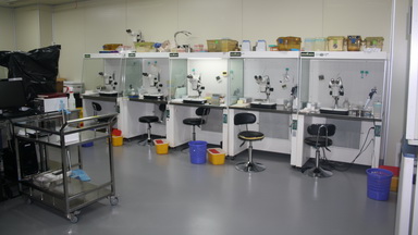 實驗動物中心基因修飾小鼠飼養繁殖與保種培訓通知