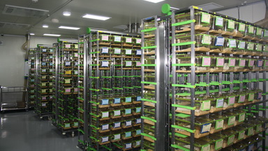 實驗動物中心ABSL-2動物生物安全培訓通知