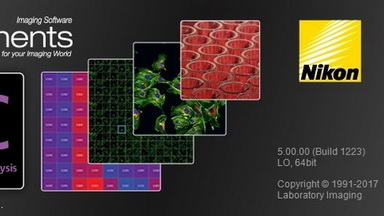 尼康生物影像中心圖像處理系列專題(二)測量培訓通知