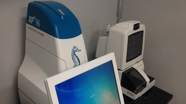 共享儀器平臺Seahorse細胞能量代謝分析儀培訓通知