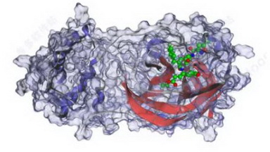 細胞影像平臺圖像處理Imaris時間序列圖像專題培訓通知