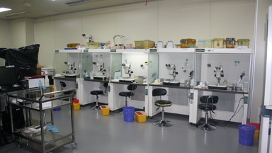 實驗動物中心常規技術培訓通知