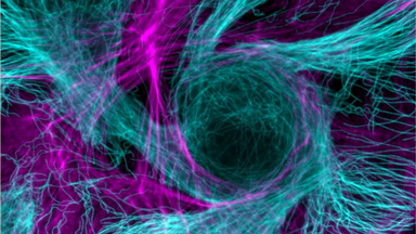 細胞影像平臺轉盤共聚焦顯微鏡上機培訓通知