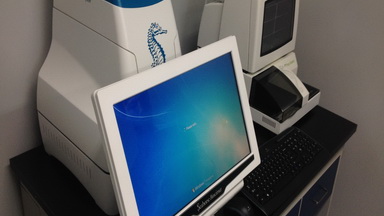 共享儀器平臺Seahorse細胞能量代謝分析儀培訓通知