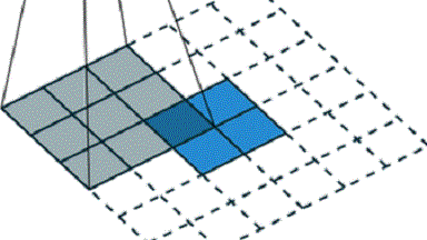 尼康生物影像中心圖像處理系列專題（五）濾鏡篇培訓通知