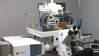 共享儀器平臺Zeiss LSM780激光共聚焦顯微鏡培訓通知