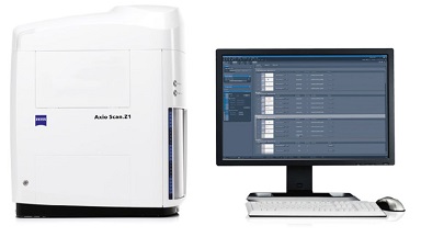 細胞生物學平臺Zeiss全自動數字玻片掃描系統培訓通知