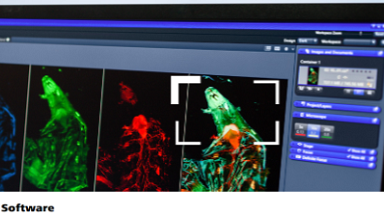 共享儀器平臺Zeiss ZEN軟件線下培訓通知