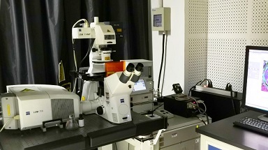 細胞生物學平臺Zeiss激光共聚焦顯微鏡LSM710培訓通知