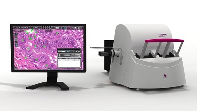 細胞生物學平臺3DHISTECH玻片掃描系統培訓通知
