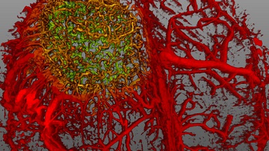 尼康生物影像中心超分辨激光掃描共聚焦顯微鏡上機培訓通知