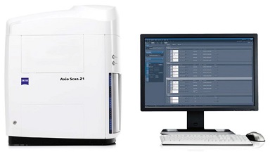 細胞生物學平臺Zeiss全自動數字玻片掃描系統培訓通知