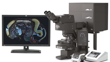 細胞生物學平臺Olympus激光共聚焦顯微鏡FV3000培訓通知