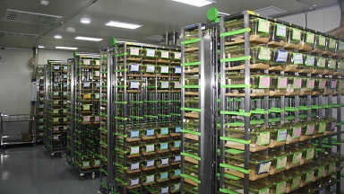 實驗動物中心常規技術培訓通知