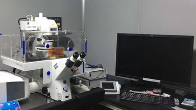共享儀器平臺Zeiss LSM780激光共聚焦顯微鏡培訓通知