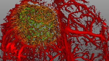 尼康生物影像中心超分辨激光掃描共聚焦顯微鏡上機培訓通知
