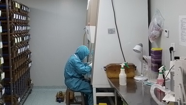 實驗動物中心ABSL-2動物生物安全培訓通知