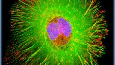 細胞影像平臺轉盤共聚焦顯微鏡上機培訓通知