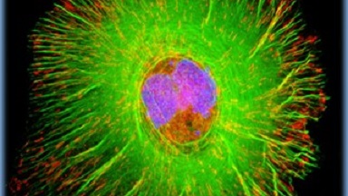 細胞影像平臺轉盤共聚焦顯微鏡上機培訓通知