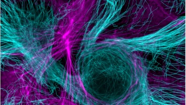 細胞影像平臺轉盤共聚焦顯微鏡上機培訓通知