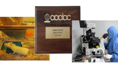 實驗動物中心常規技術培訓通知