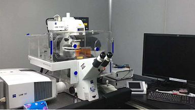 共享儀器平臺 Zeiss LSM780 激光共聚焦顯微鏡培訓通知