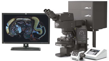 細胞生物學平臺Olympus激光共聚焦顯微鏡FV3000培訓通知