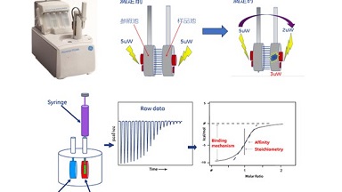 蛋白質制備與鑒定平臺等溫滴定量熱儀ITC線上培訓通知