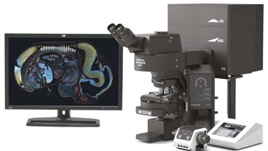 細胞生物學平臺Olympus激光共聚焦顯微鏡FV3000培訓通知