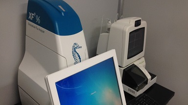 共享儀器平臺Seahorse細胞能量代謝分析儀培訓通知