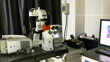 細胞生物學平臺Zeiss激光共聚焦顯微鏡LSM710培訓通知