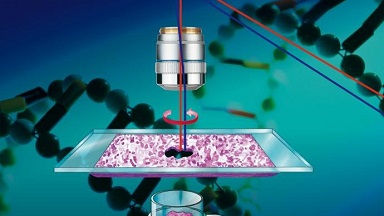 細胞影像平臺激光顯微切割系統上機培訓通知