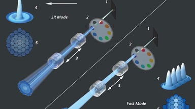共享儀器平臺Zeiss超高分辨共聚焦顯微鏡LSM880 Airyscan上機培訓通知