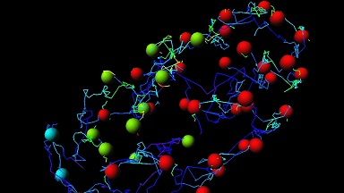 細胞影像平臺圖像處理-Imaris時間序列專題培訓